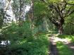 Lauitzer Heide- und Teichlandschaft