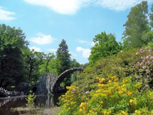 Rakotzbrücke im Rhododendronpark Kromlau