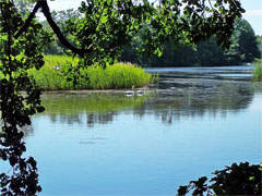 Oberlausitzer Heide- und Teichlandschaft